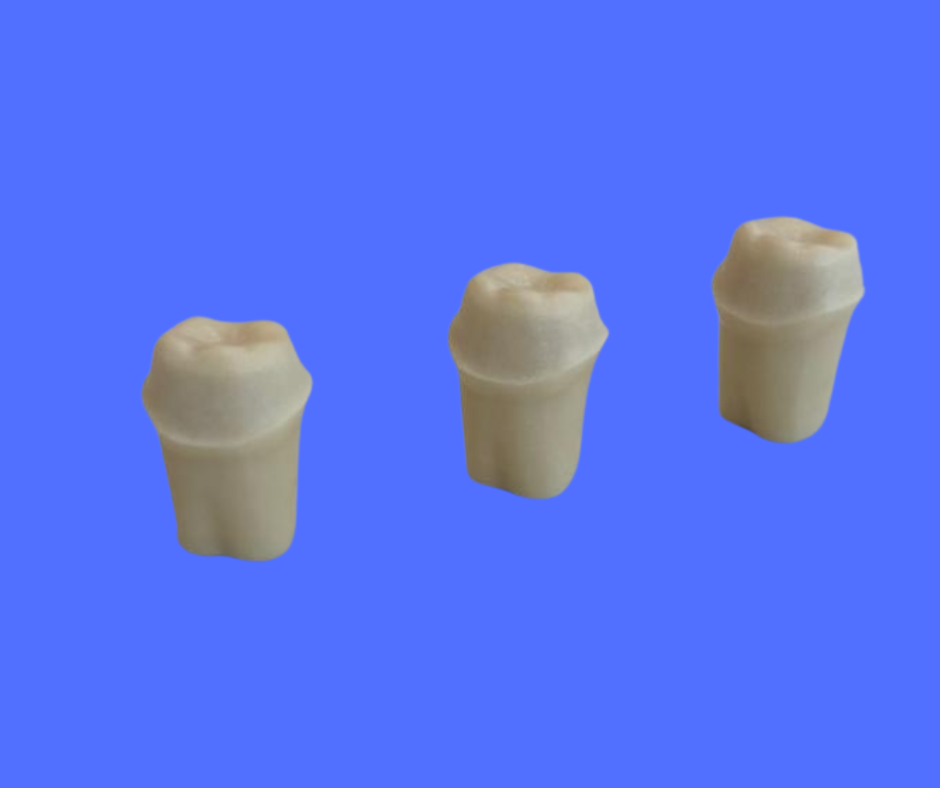 Prepared Model Image